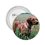 Vizsla 2.25  Button