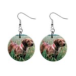 Vizsla 1  Button Earrings