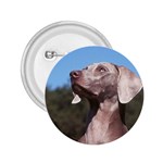 Weimaraner 2.25  Button