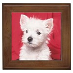 West Highland Terrier Westie Framed Tile