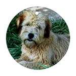 Wheaten Terrier Ornament (Round)