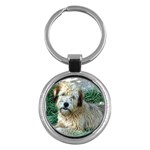 Wheaten Terrier Key Chain (Round)