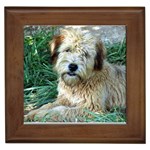 Wheaten Terrier Framed Tile