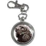 Water Spaniel Key Chain Watch