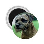 Border Terrier 2.25  Magnet