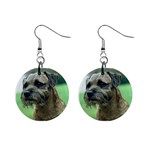 Border Terrier 1  Button Earrings