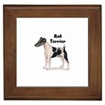 Rat Terrier Framed Tile