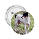 Rat Terrier 2.25  Button