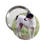 Rat Terrier 2.25  Handbag Mirror