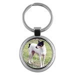 Rat Terrier Key Chain (Round)