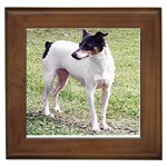 Rat Terrier Framed Tile