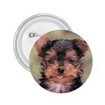 Yorkshire Terrier Yorkie 2.25  Button