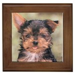 Yorkshire Terrier Yorkie Framed Tile