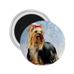 Yorkshire Terrier Yorkie 2.25  Magnet