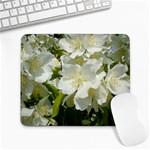 Mesign0011 Rec Mousepad