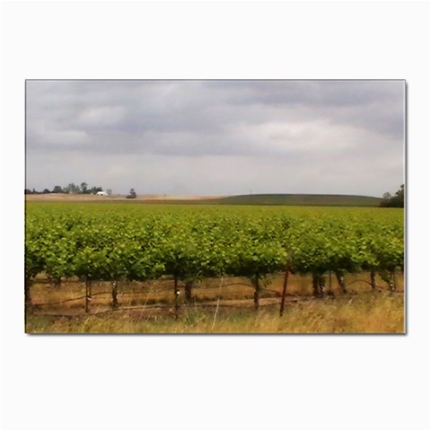 Vinyard Beneath A Cloudy Sky Postcards 5  x 7  (Pkg of 10) from ArtsNow.com Front