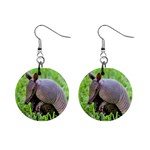 Armadillo 1  Button Earrings