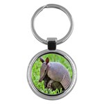 Armadillo Key Chain (Round)