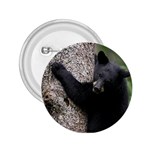 Black Bear Cub 2.25  Button