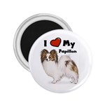 I Love My Papillon 2.25  Magnet