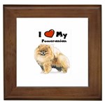 I Love My Pomeranian Framed Tile