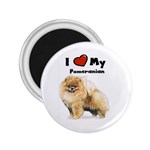 I Love My Pomeranian 2.25  Magnet