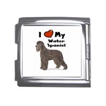 I Love My Water Spaniel Mega Link Italian Charm (18mm)