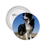 Border Collie 2.25  Button