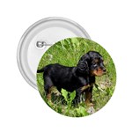 Gordon Setter Puppy 2.25  Button