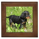 Gordon Setter Puppy Framed Tile