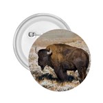 Buffalo 2.25  Button