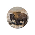 Buffalo Rubber Round Coaster (4 pack)