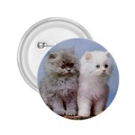 Persian Cats Kittens 2.25  Button