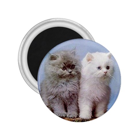 Persian Cats Kittens 2.25  Magnet from ArtsNow.com Front