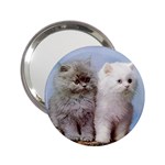 Persian Cats Kittens 2.25  Handbag Mirror