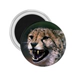 Cheetah 2.25  Magnet