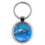 Dolphins Key Chain (Round)