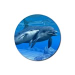 Dolphins Rubber Round Coaster (4 pack)