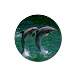 Dolphins Rubber Round Coaster (4 pack)