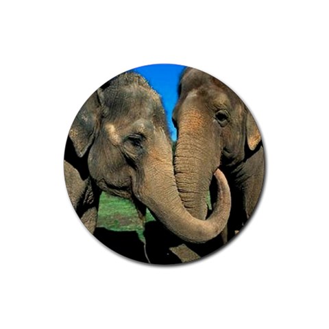 Elephants Rubber Round Coaster (4 pack) from ArtsNow.com Front