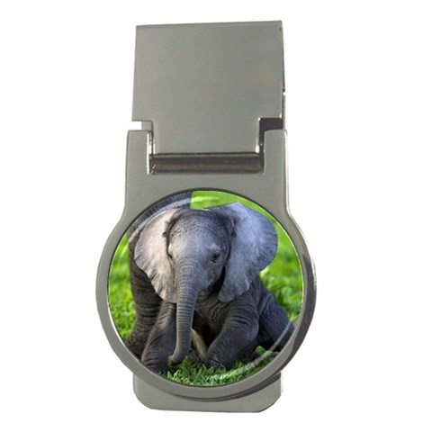 Elephant Calf Money Clip (Round) from ArtsNow.com Front