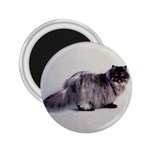 Persian Cat Black Smoke 2.25  Magnet