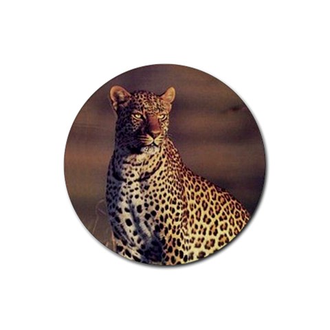 Leopard Rubber Round Coaster (4 pack) from ArtsNow.com Front