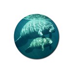 Manatees Rubber Round Coaster (4 pack)