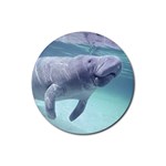 Manatees Rubber Round Coaster (4 pack)