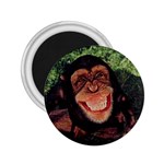 Chimp Chimpanzee 2.25  Magnet