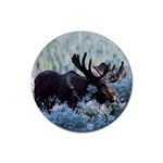 Moose Rubber Round Coaster (4 pack)