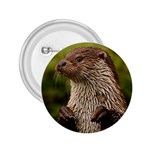 Otter 2.25  Button