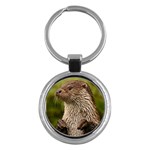 Otter Key Chain (Round)