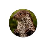 Otter Rubber Round Coaster (4 pack)